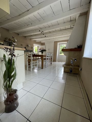 photo no. 8