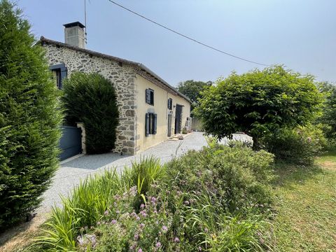 photo no. 16