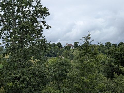 photo no. 5