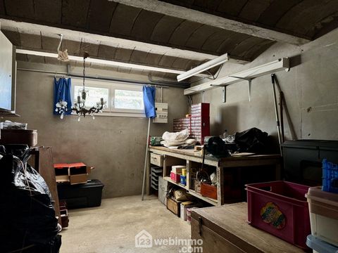 photo no. 13