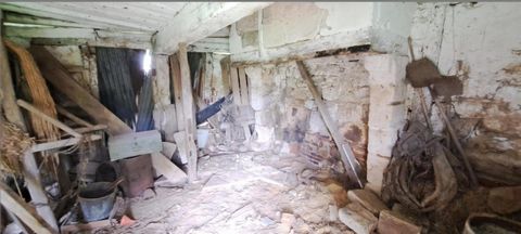 photo no. 2