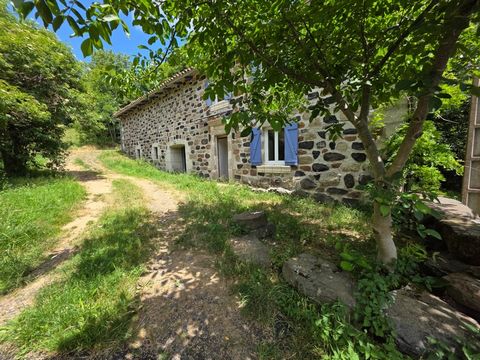 Magnifique maison en pierre à Presailles