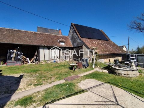 photo no. 10