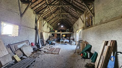 photo no. 15