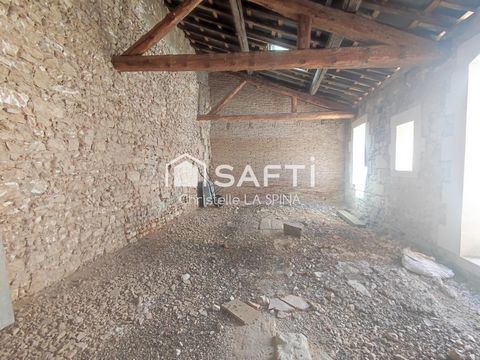 photo no. 13