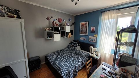 photo no. 6