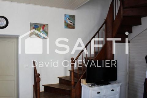 photo no. 6