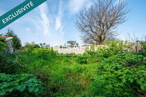 Terrain de 955m2 avec hangar pour habitation ou activité pro
