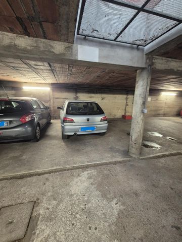 photo no. 8
