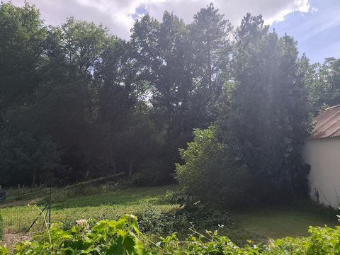 photo no. 18