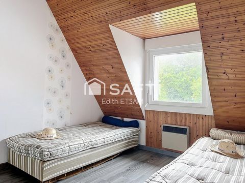 photo no. 13