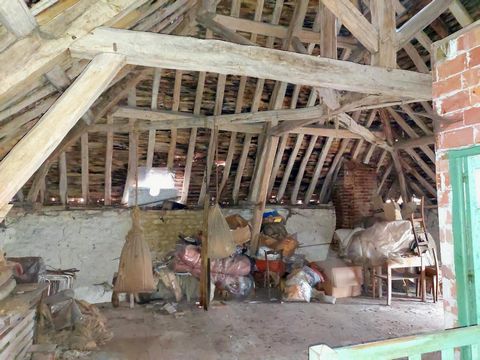photo no. 15