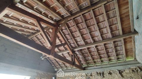 photo no. 13
