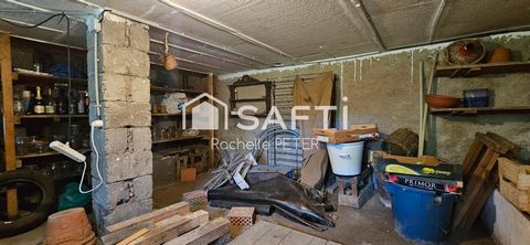 photo no. 15