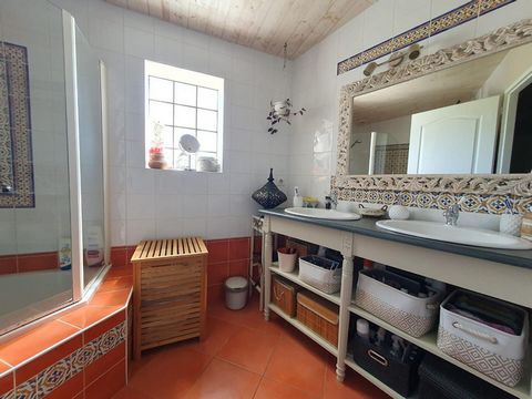 photo no. 10