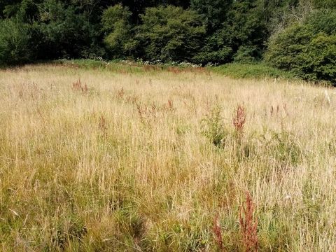 Dpt Seine Maritime (76), à vendre HERICOURT EN CAUX terrain