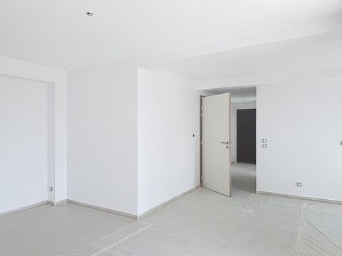 photo no. 3