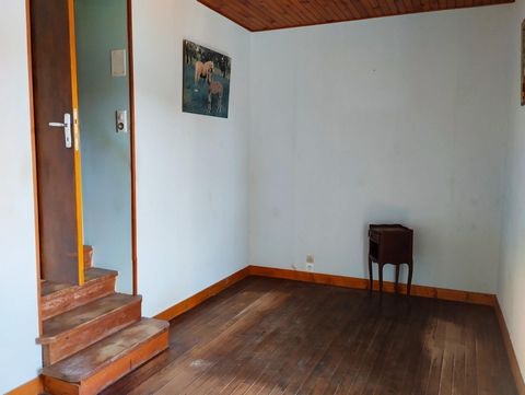 photo no. 5