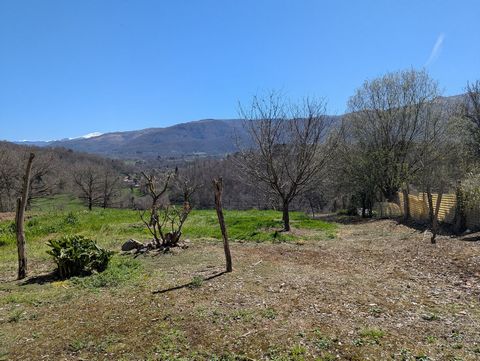photo no. 2