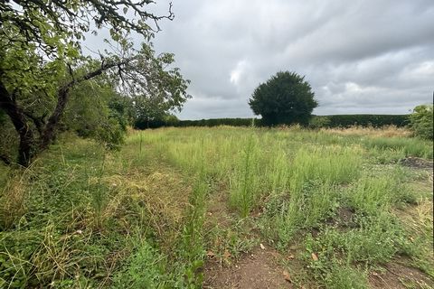 A VENDRE Terrain LES BOIS D'ANJOU 800m2 partiellement viabilisé