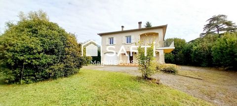 photo no. 12
