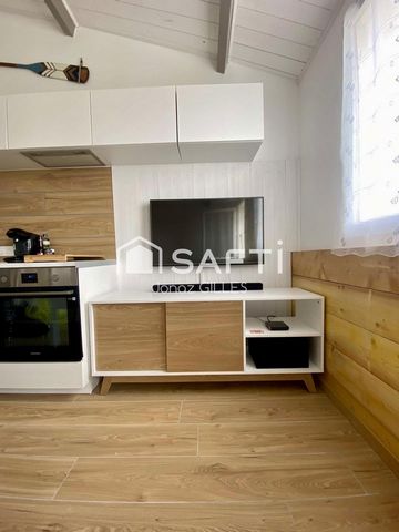 photo no. 7