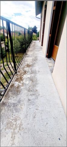 photo no. 6