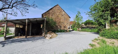 photo no. 2