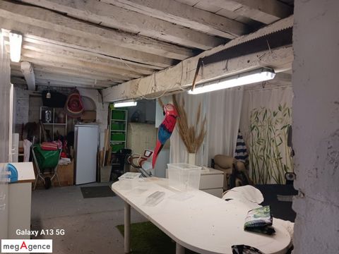 photo no. 12