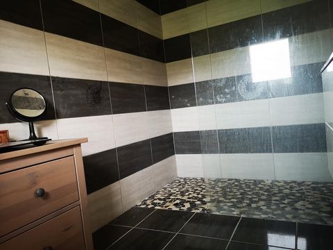 photo no. 6