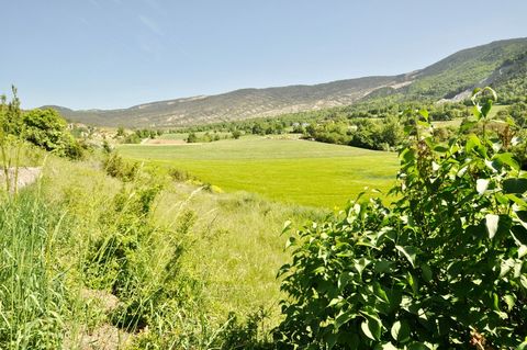 photo no. 1