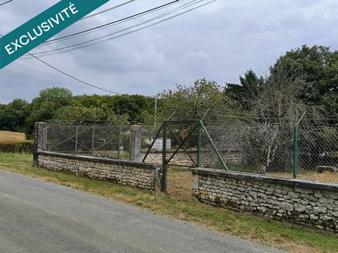 photo no. 10