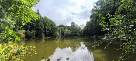 photo no. 8