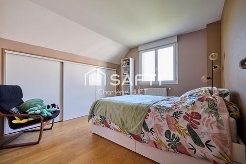 photo no. 11