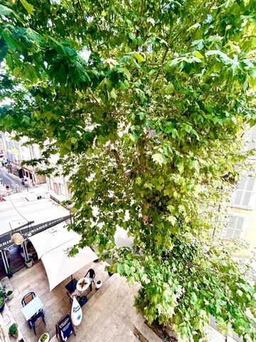 photo no. 11