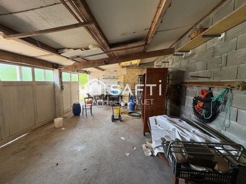 photo no. 12