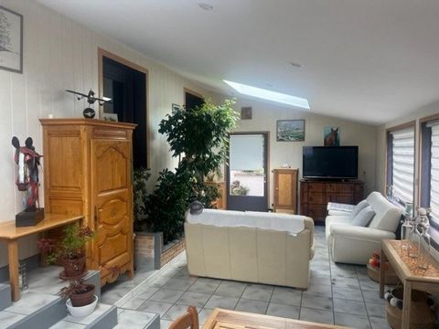 photo no. 11
