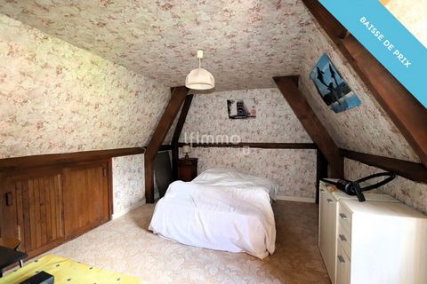 photo no. 8