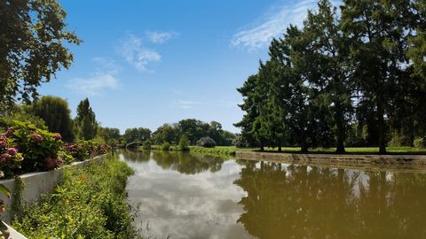 photo no. 10