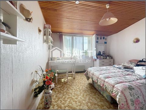 photo no. 4