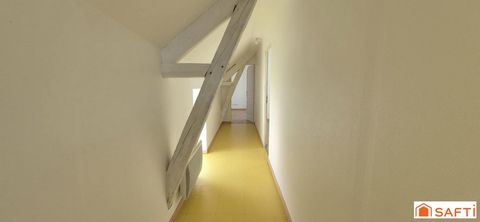 photo no. 9