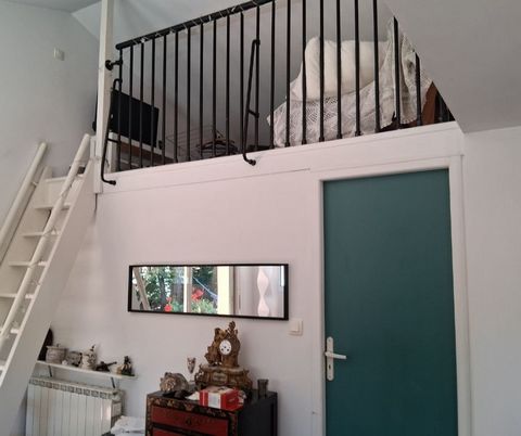 photo no. 11