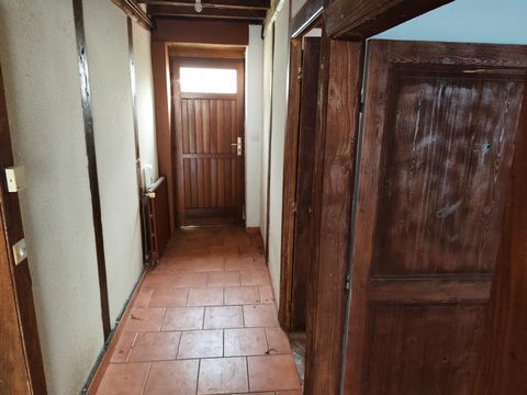photo no. 2