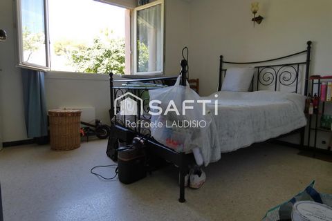 photo no. 12