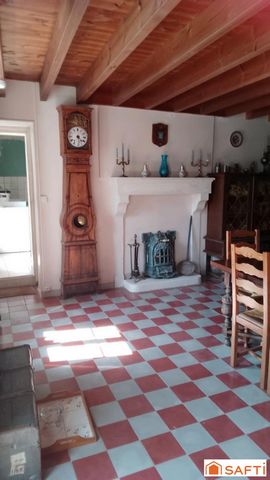 photo no. 8