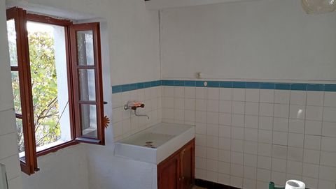 photo no. 6
