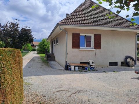 photo no. 6