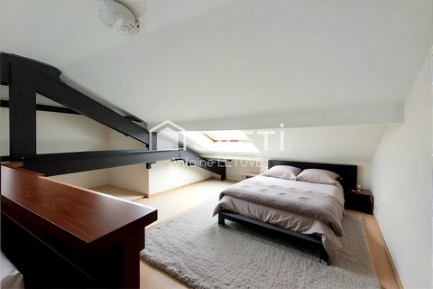 photo no. 2