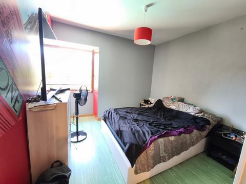 photo no. 14