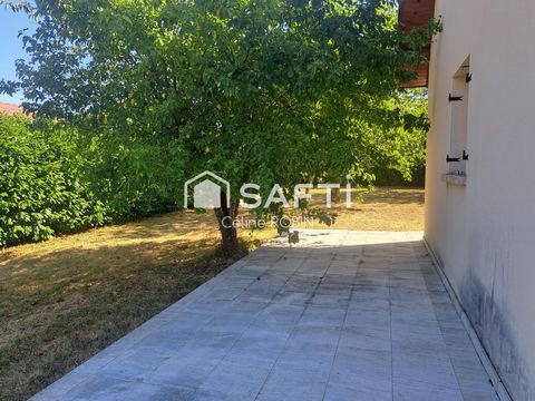 photo no. 16